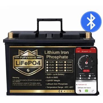 LiFePO4 12V/100Ah Акумулятор PUPVWMHB з Bluetooth, зарядкою, BMS для резервного живлення